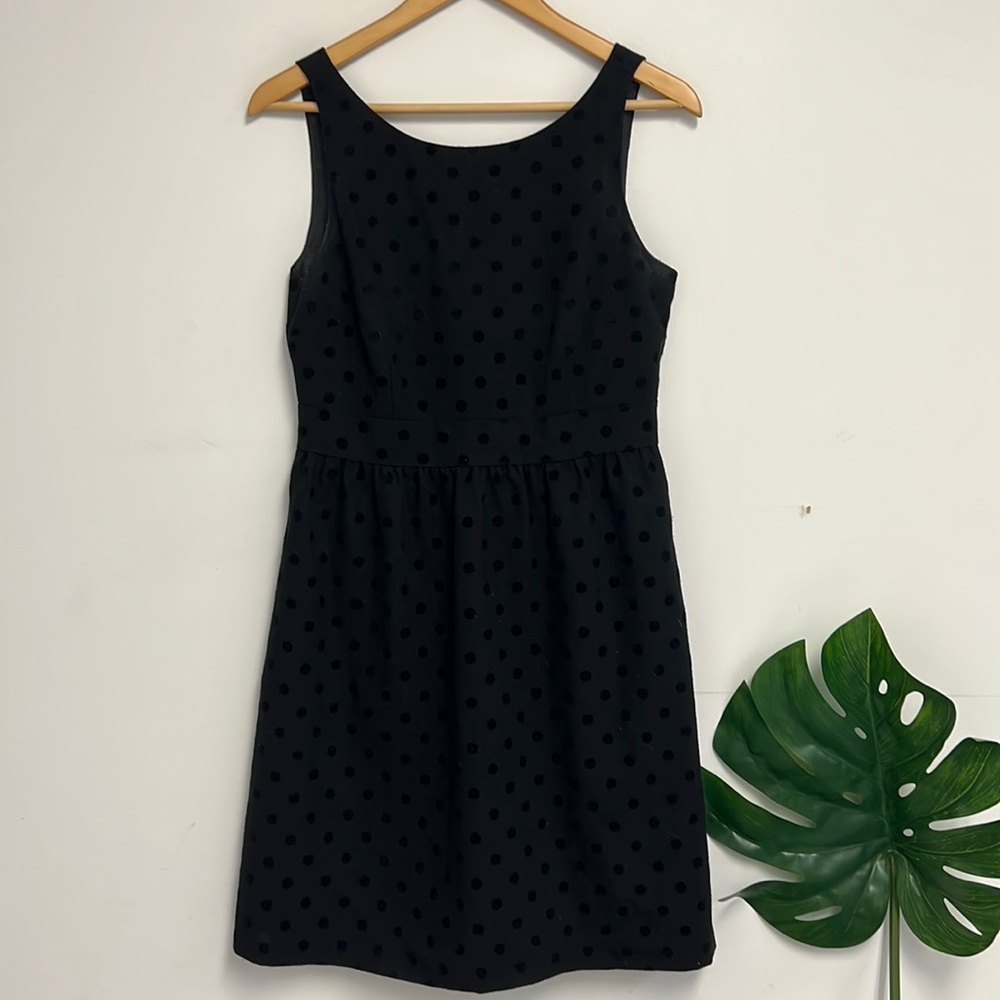 LOFT polka dot career dress - Picture 1 of 5